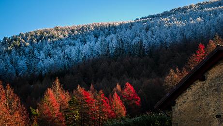 autunno
